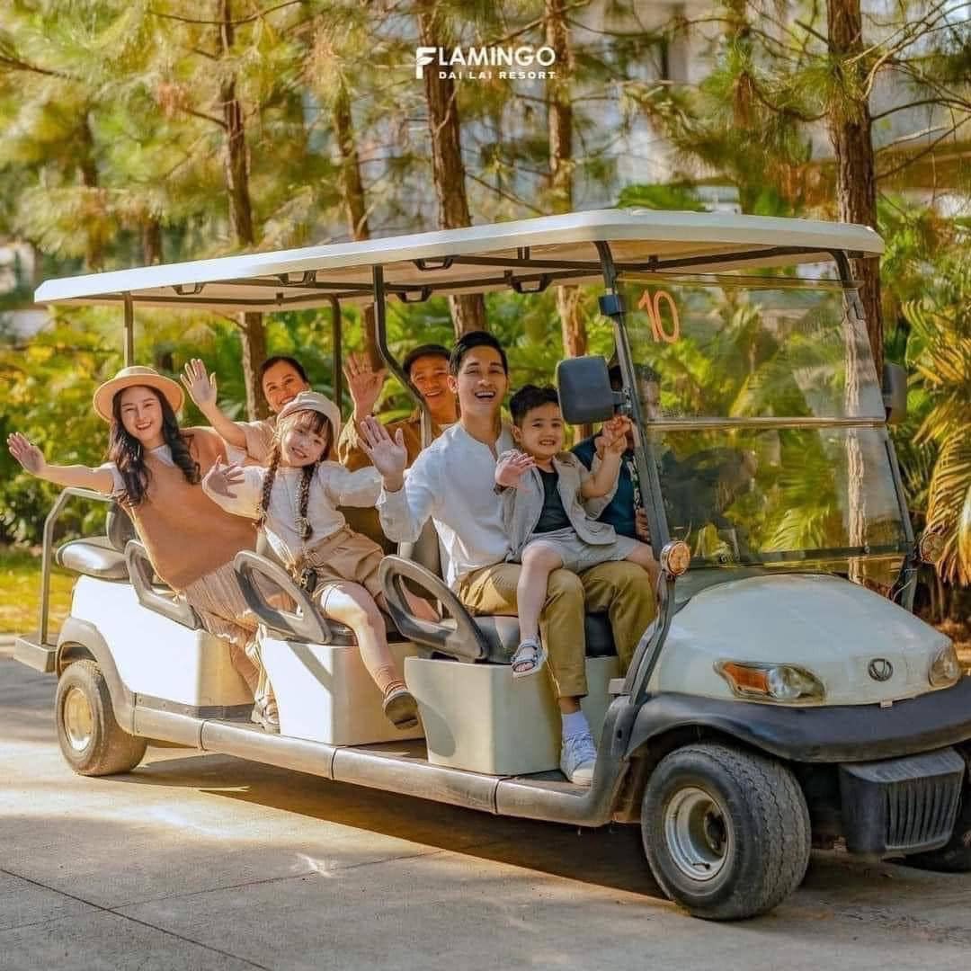 536281270 1445369446772014 6770091882769654672 N