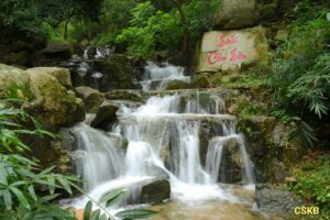 524127992 122159786642488071 6801590027774941569 N